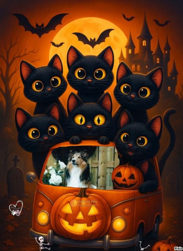 Bella of the Ada family