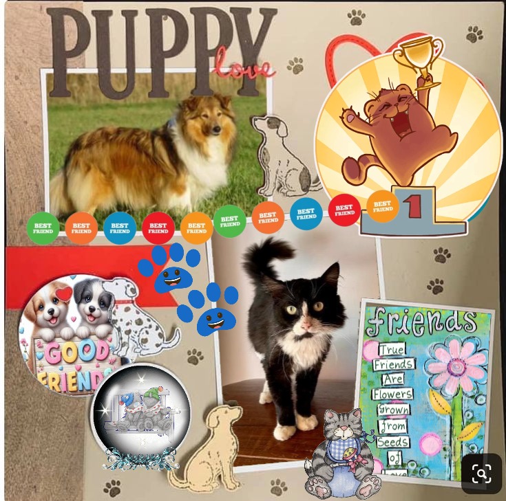 Ada uploaded   236  day/s  ago