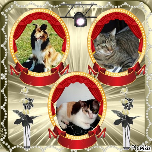 Ada uploaded   232  day/s  ago