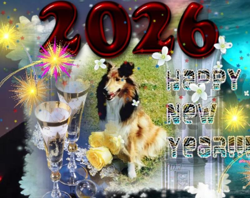 Bella of the Ada family