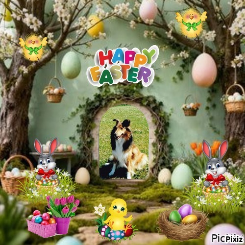 Bella of the Ada family