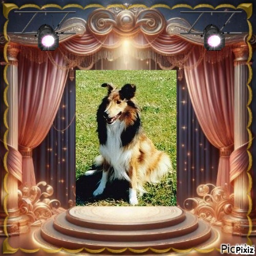 Ada uploaded   232  day/s  ago