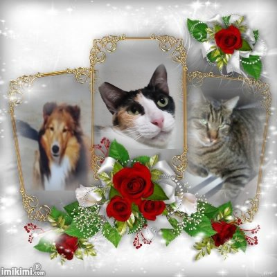 Ada uploaded   232  day/s  ago