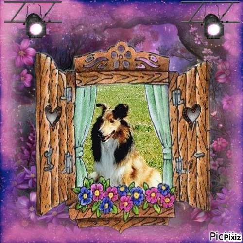 Ada uploaded   232  day/s  ago