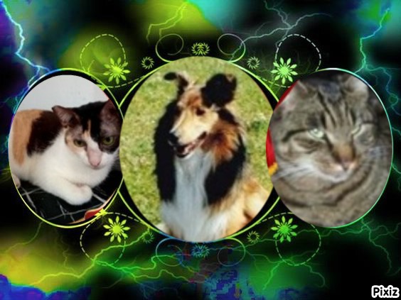 Ada uploaded   232  day/s  ago