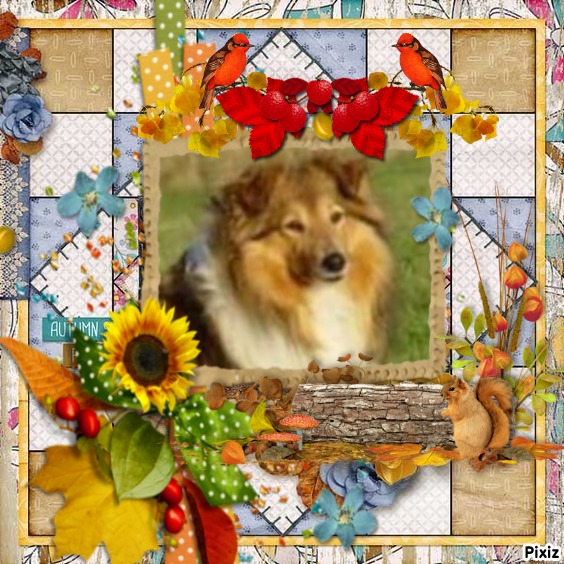 Bella of the Ada family