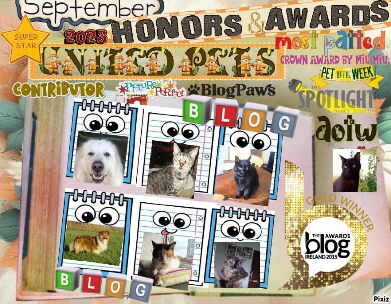 Bella of the Ada family