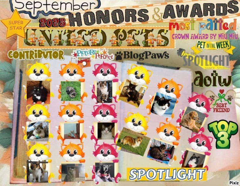 Bella of the Ada family