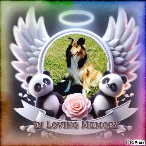 Bella of the Ada family