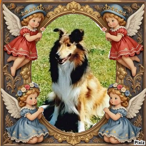 Bella of the Ada family