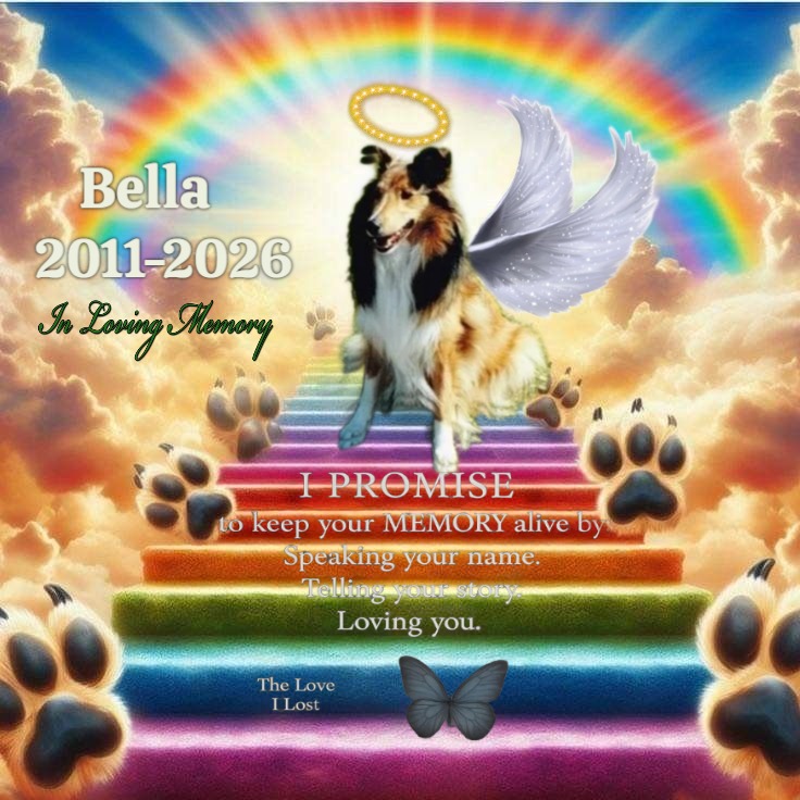 Bella of the Ada family