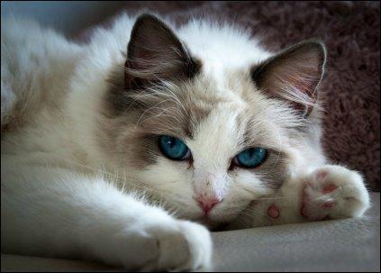 Ada uploaded   6 year/s ago