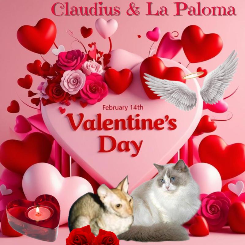 La Paloma of the Ada family