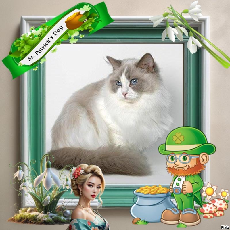 La Paloma of the Ada family