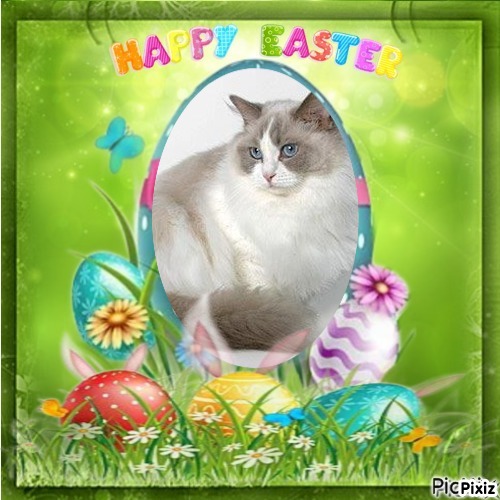 La Paloma of the Ada family