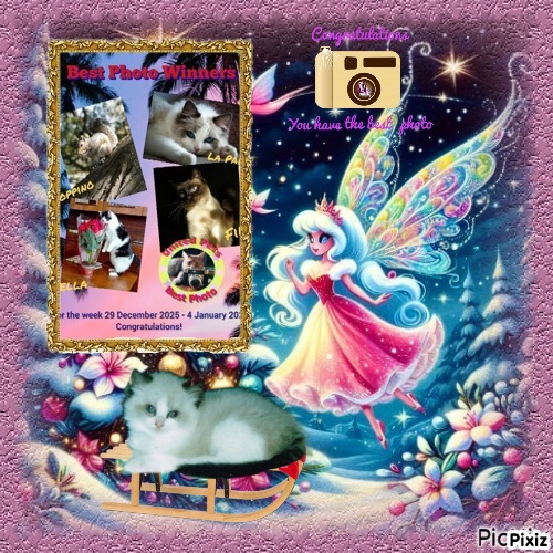 La Paloma of the Ada family