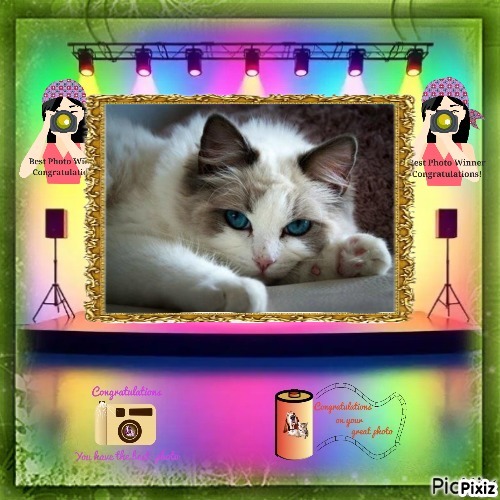 La Paloma of the Ada family