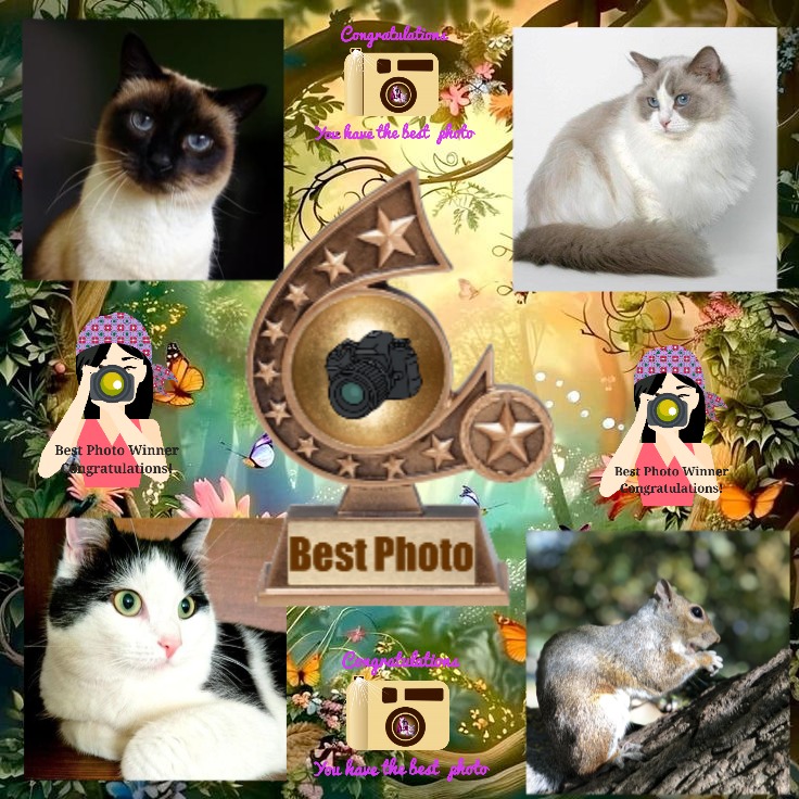 La Paloma of the Ada family