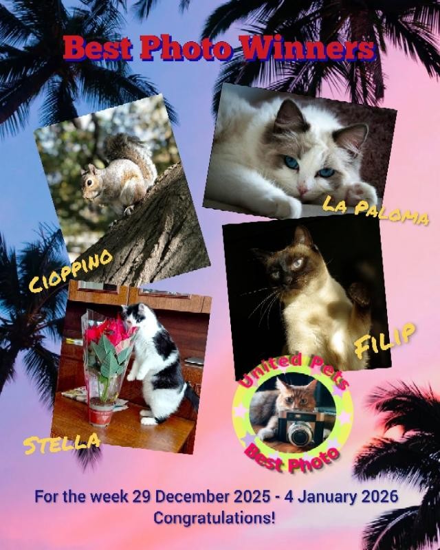 La Paloma of the Ada family