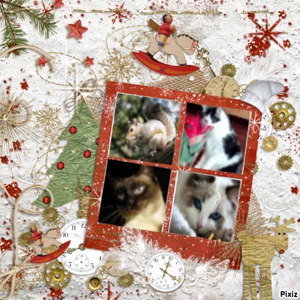 La Paloma of the Ada family