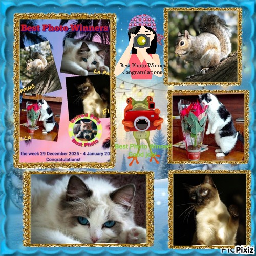 La Paloma of the Ada family