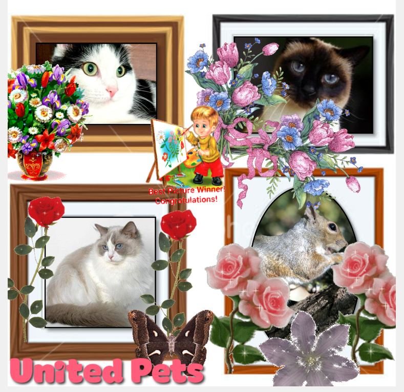 La Paloma of the Ada family