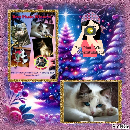 La Paloma of the Ada family