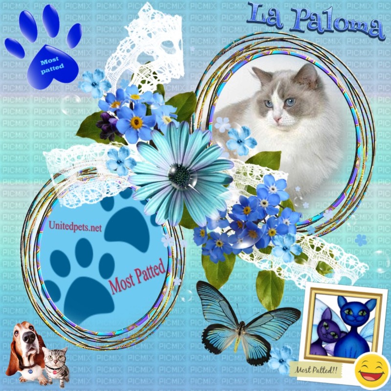 La Paloma of the Ada family