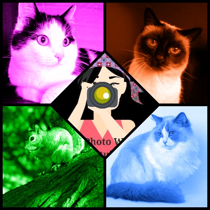 La Paloma of the Ada family