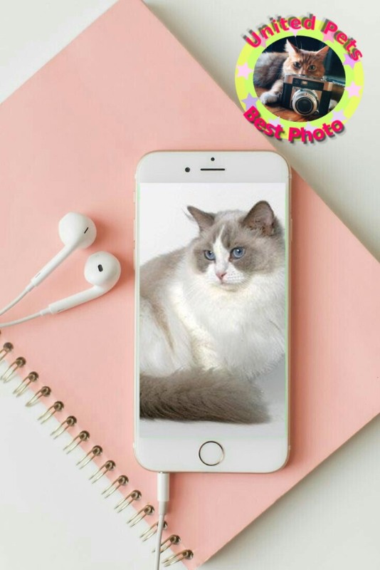 La Paloma of the Ada family