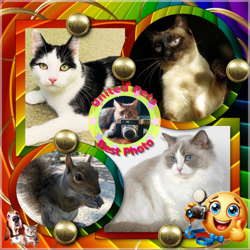 La Paloma of the Ada family