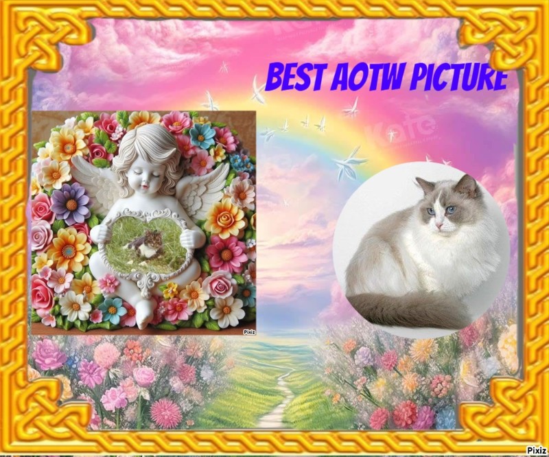 La Paloma of the Ada family