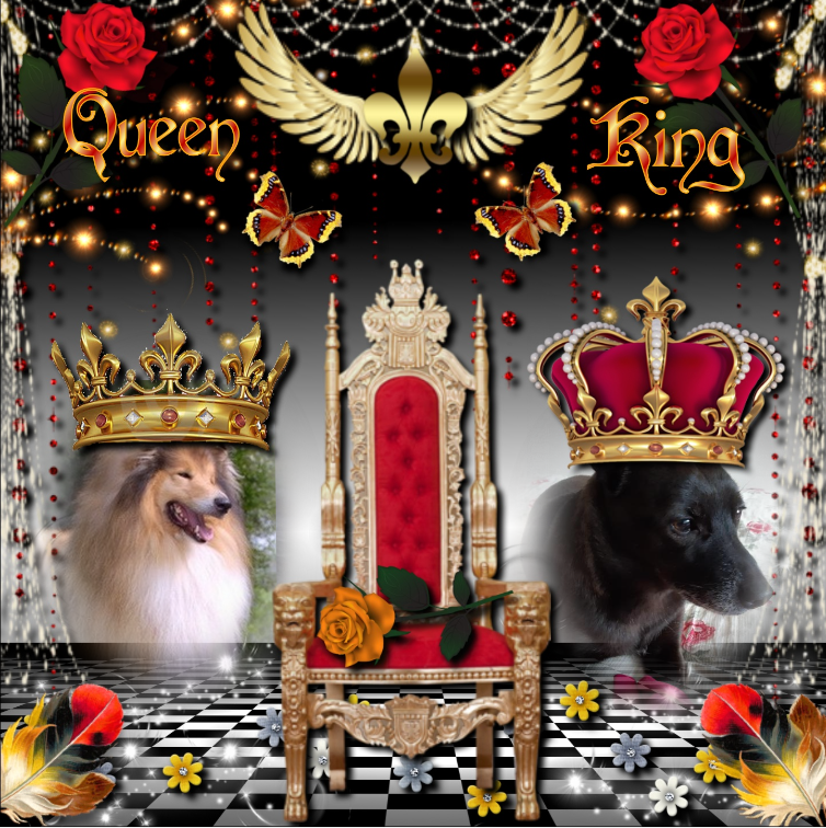 Duncan Shadow of the Ada family