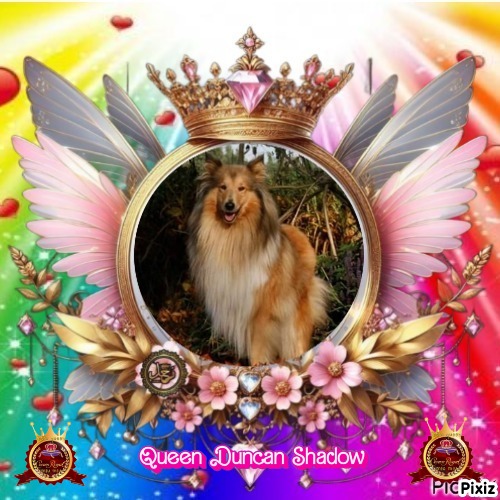 Duncan Shadow of the Ada family