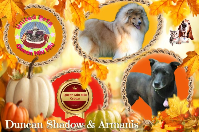 Duncan Shadow of the Ada family