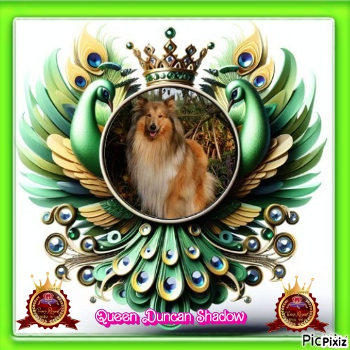 Duncan Shadow of the Ada family