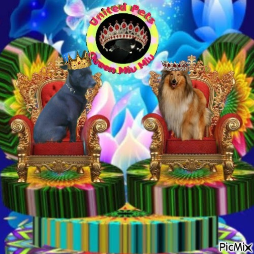 Duncan Shadow of the Ada family