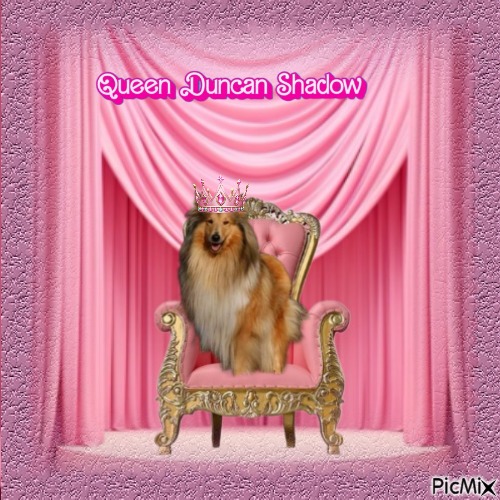 Duncan Shadow of the Ada family