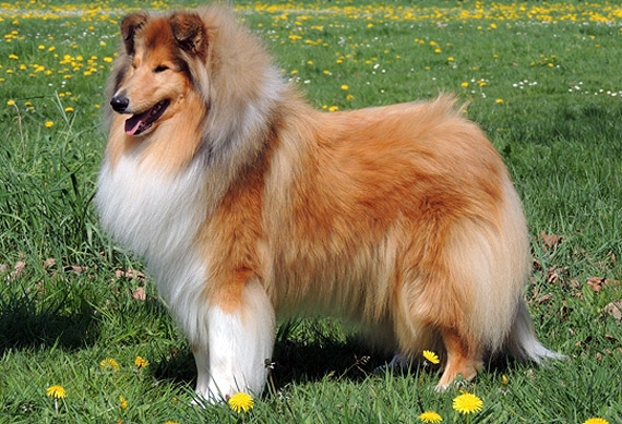 Ada uploaded   6 year/s ago