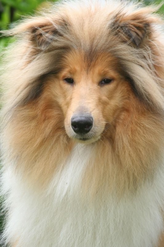 Ada uploaded   6 year/s ago