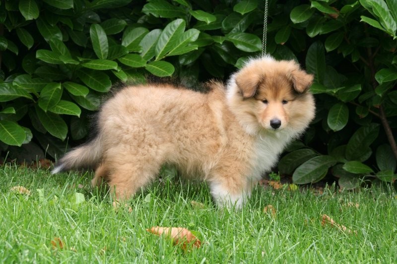 Ada uploaded   6 year/s ago