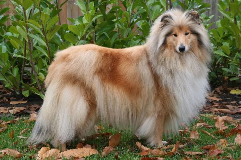 Ada uploaded   4 year/s ago