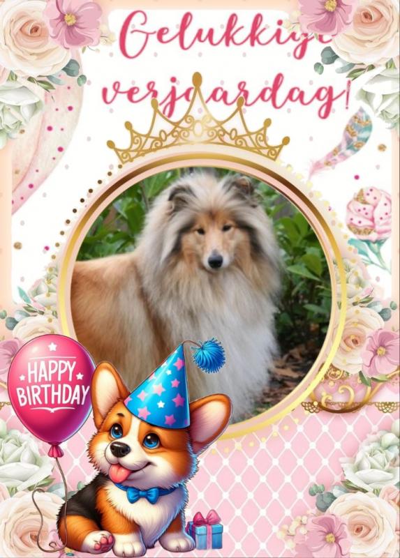 Ada uploaded   321  day/s  ago