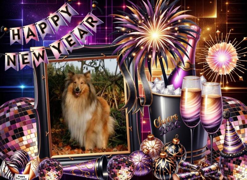 Duncan Shadow of the Ada family