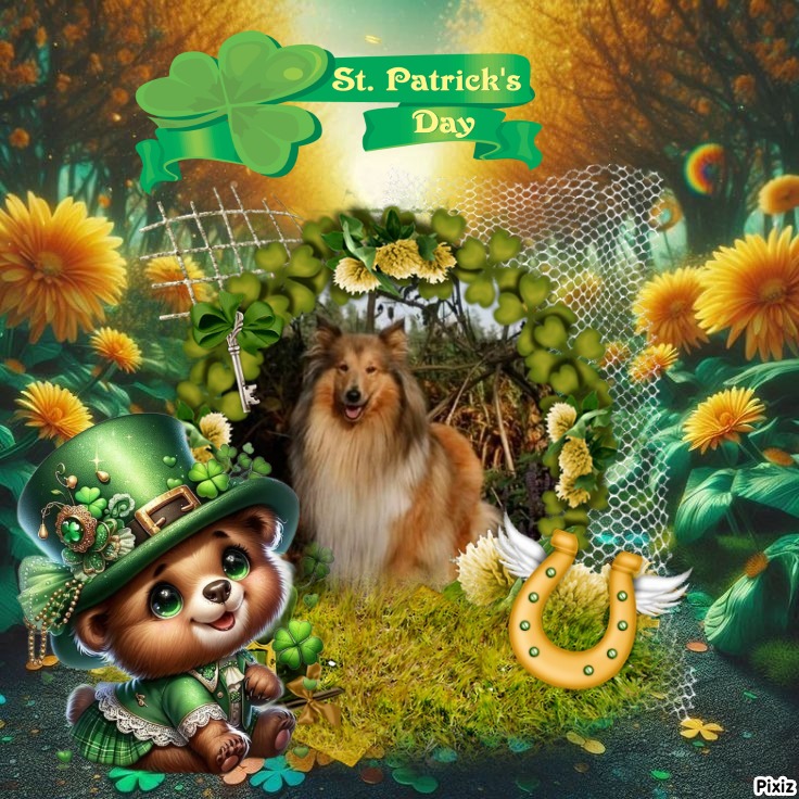 Duncan Shadow of the Ada family