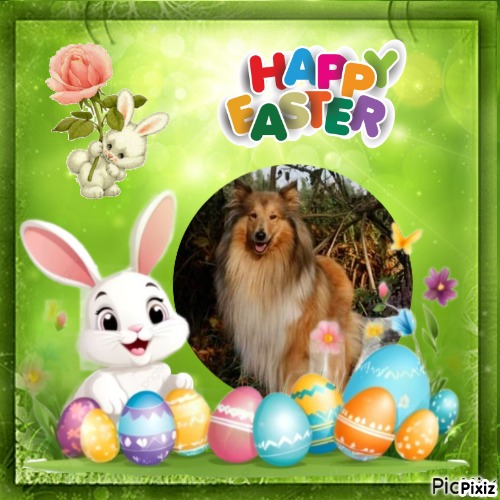 Duncan Shadow of the Ada family