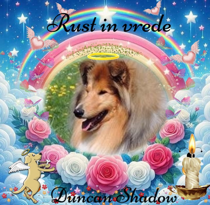 Duncan Shadow of the Ada family