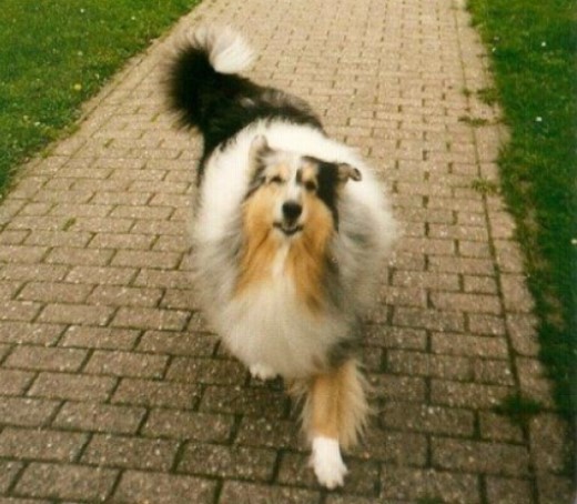 Ada uploaded   128  day/s  ago