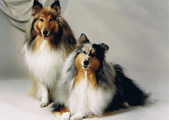 Ada uploaded   128  day/s  ago