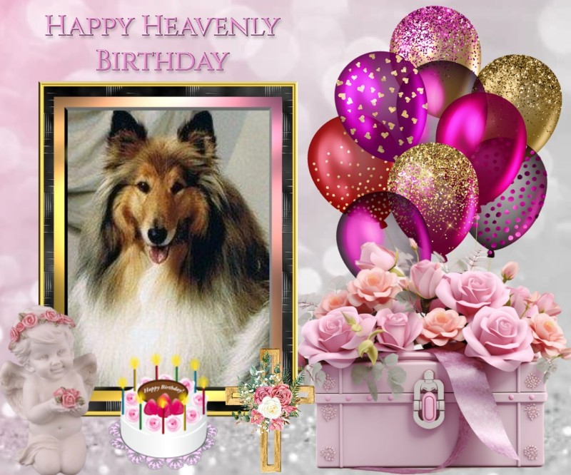 Floris of the Ada family